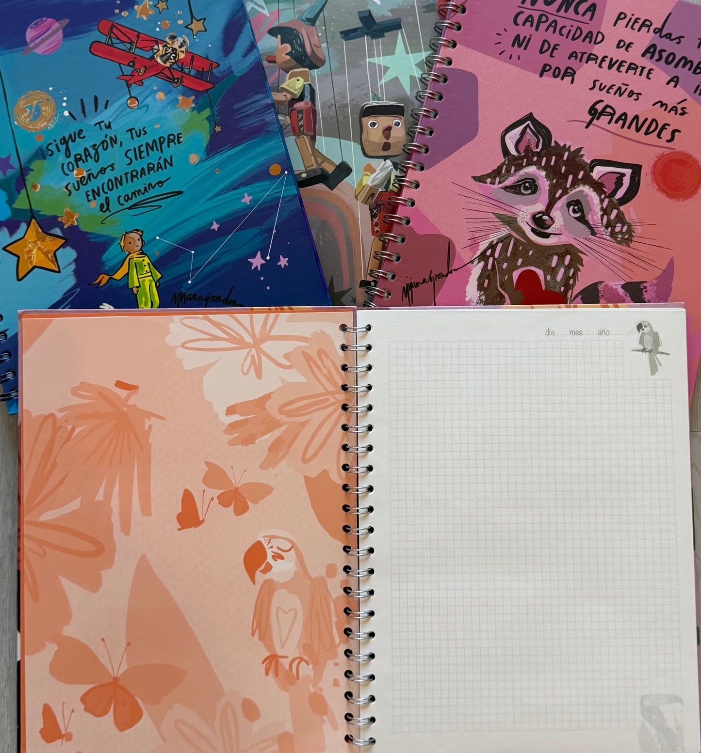 Toucan notebook